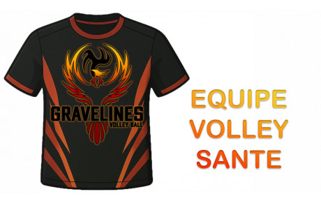 Volley Santé