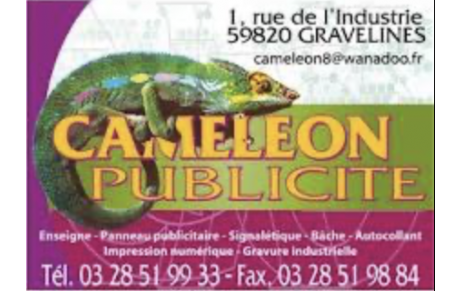 CAMELEON PUBLICITE